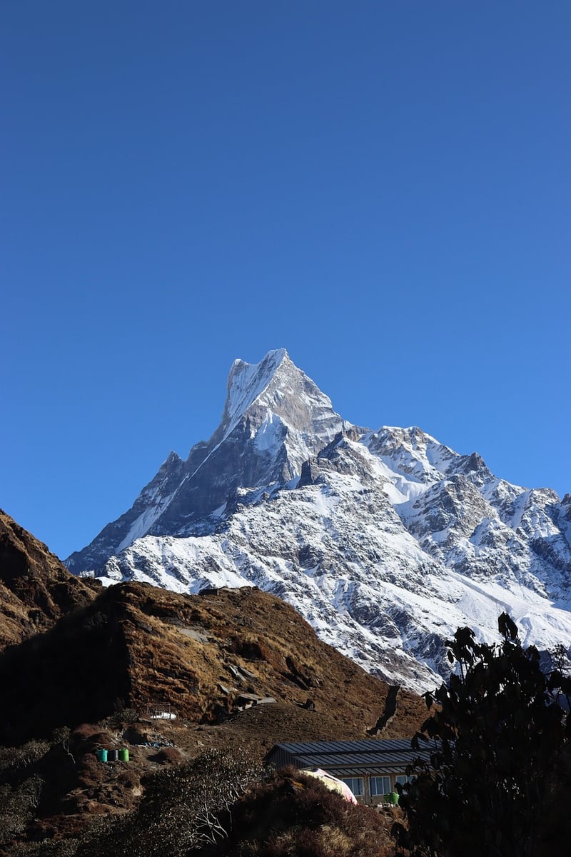 Trekking in the Himalayas