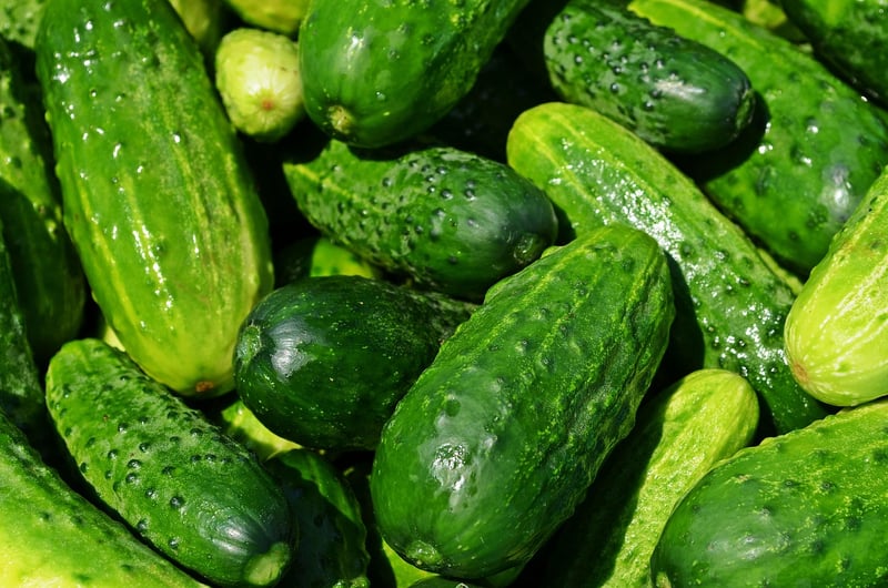 Farm Fresh Vegetables